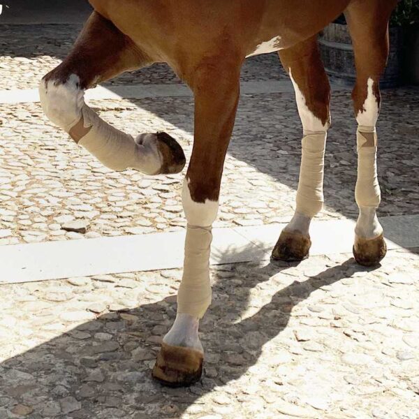 Vendas polares para caballo - Imagen 13