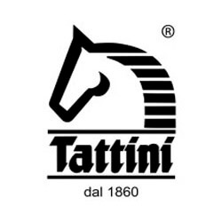 Tattini